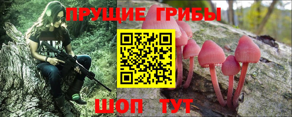 Галлюциногенные грибы прущие грибы  Вход с VPN  Элиста 
