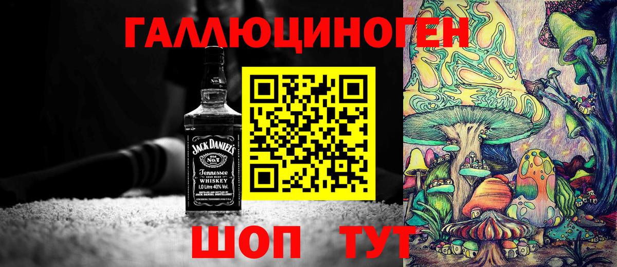 Псилоцибиновые грибы мицелий Элиста